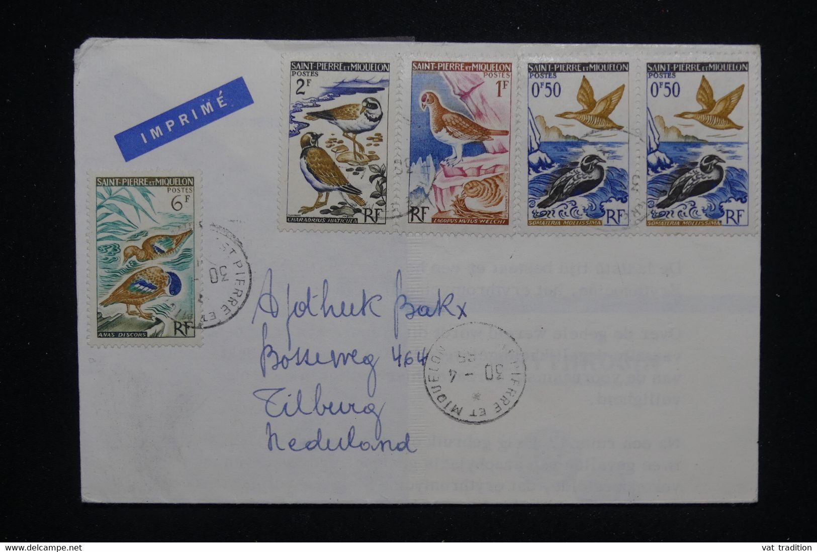 ST PIERRE ET MIQUELON - Enveloppe De St Pierre Pour Les Pays Bas, Affranchissement Varié Oiseaux - L 119729 - Brieven En Documenten