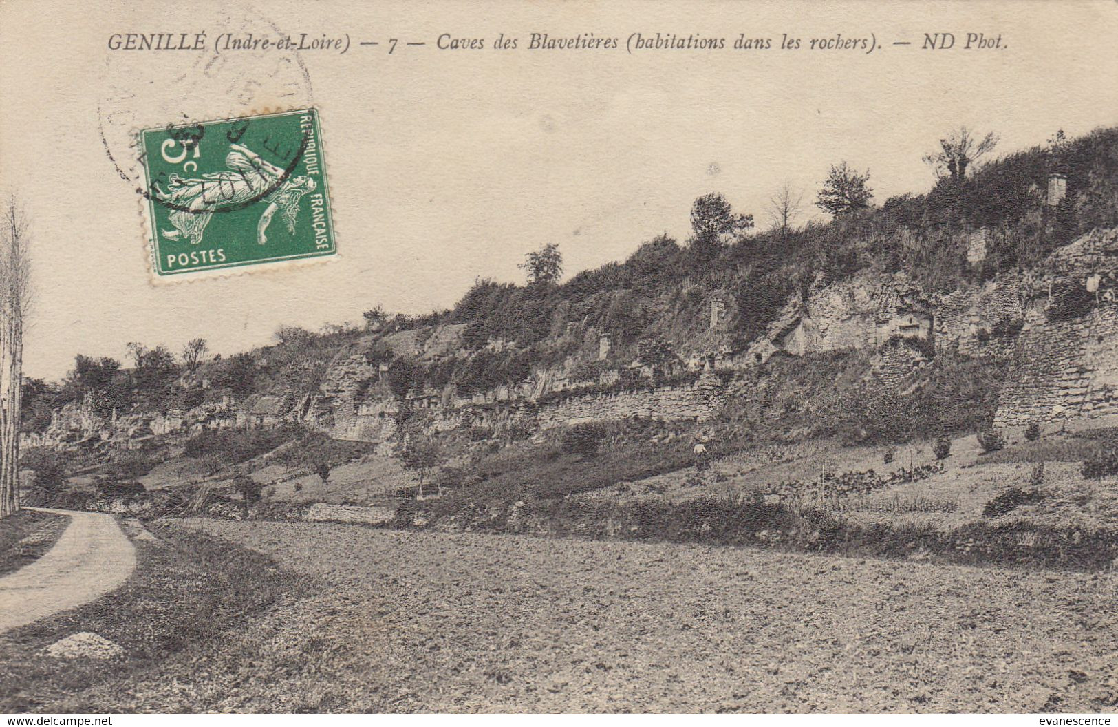 37 :   Genillé : Caves Des Blavetières  ///  Ref.  Avril. 22 // N° 19.811 - Genillé