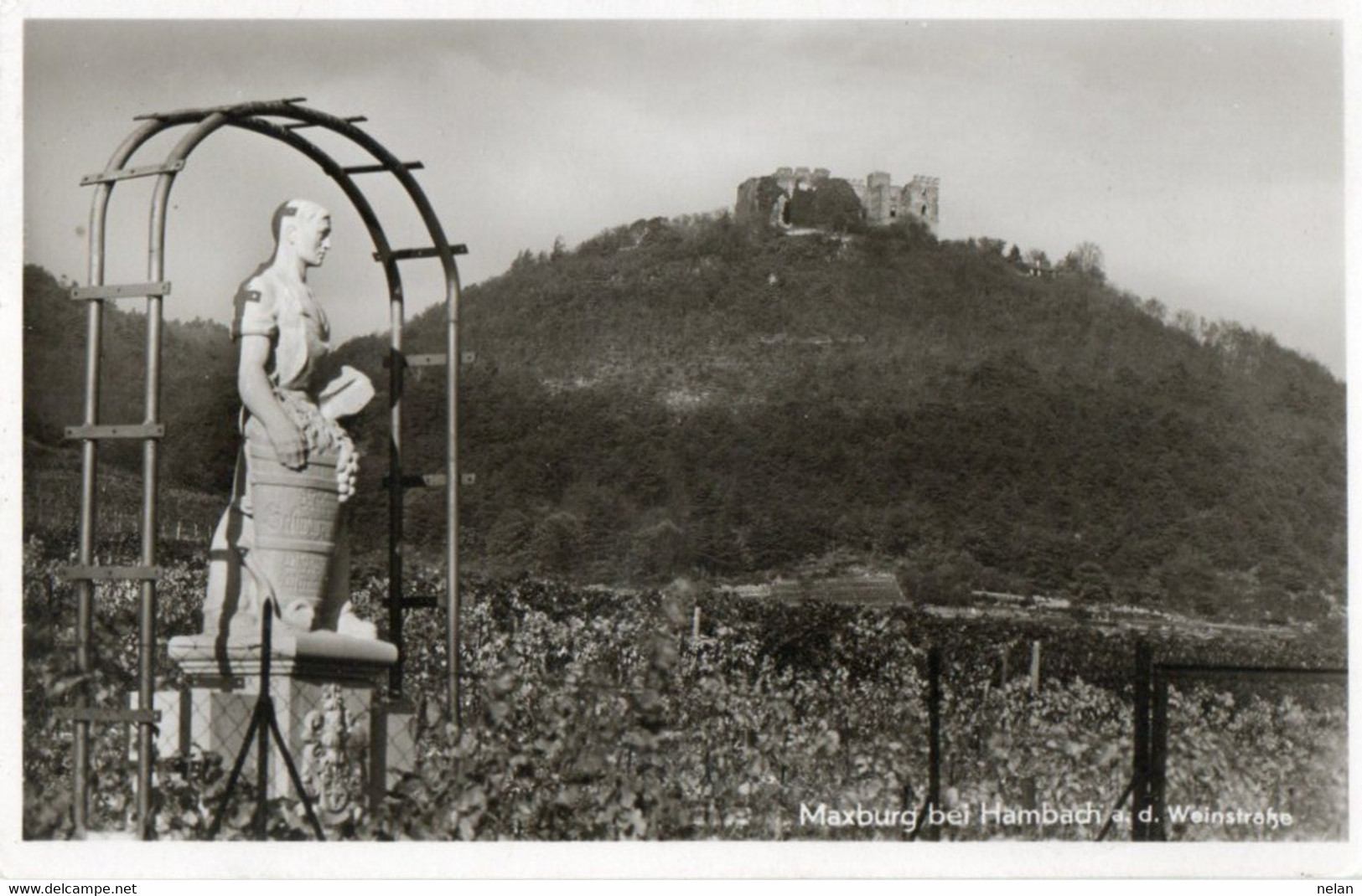 MAXBURG BEI HAMBACH  WEINSTRASSE - REAL PHOTO - F.P - STORIA POSTALE - Hamm