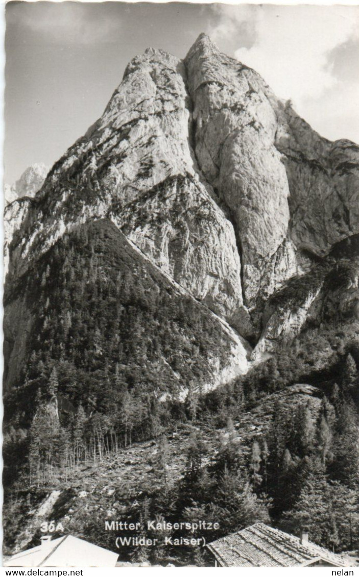 MITTER KAISERSPITZE - WILDER KAISER - REAL PHOTO - F.P - Brixen Im Thale