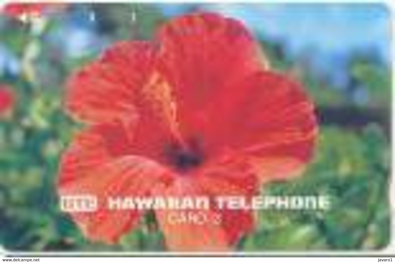 HAWAI : HAW11 3u HIBISCUS  (flower) MINT - Hawaï