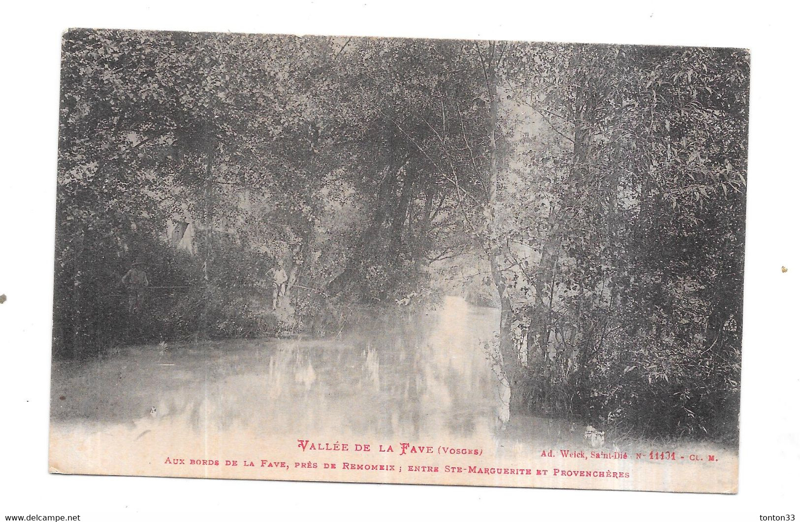 DEPT 88 - VALLEE De La FAVE - Aux Bords De La Fave Près De REMOMEIX Entre Ste Marguerite Et - 018/BX22  RARE - - Provencheres Sur Fave