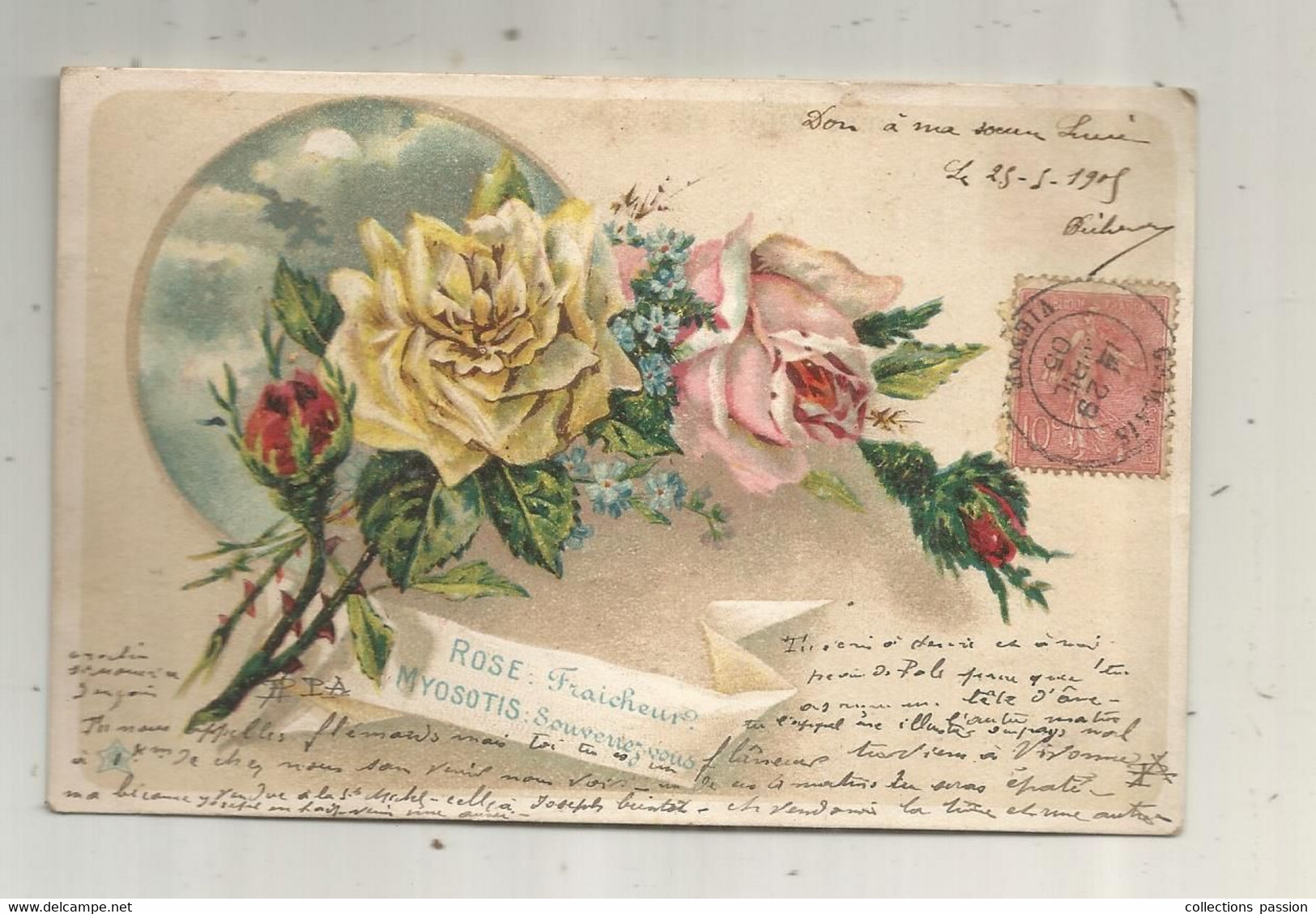 JC, Cp , Fleurs , Rose ,myosotis , Voyagée 1905, Dos Simple - Fleurs