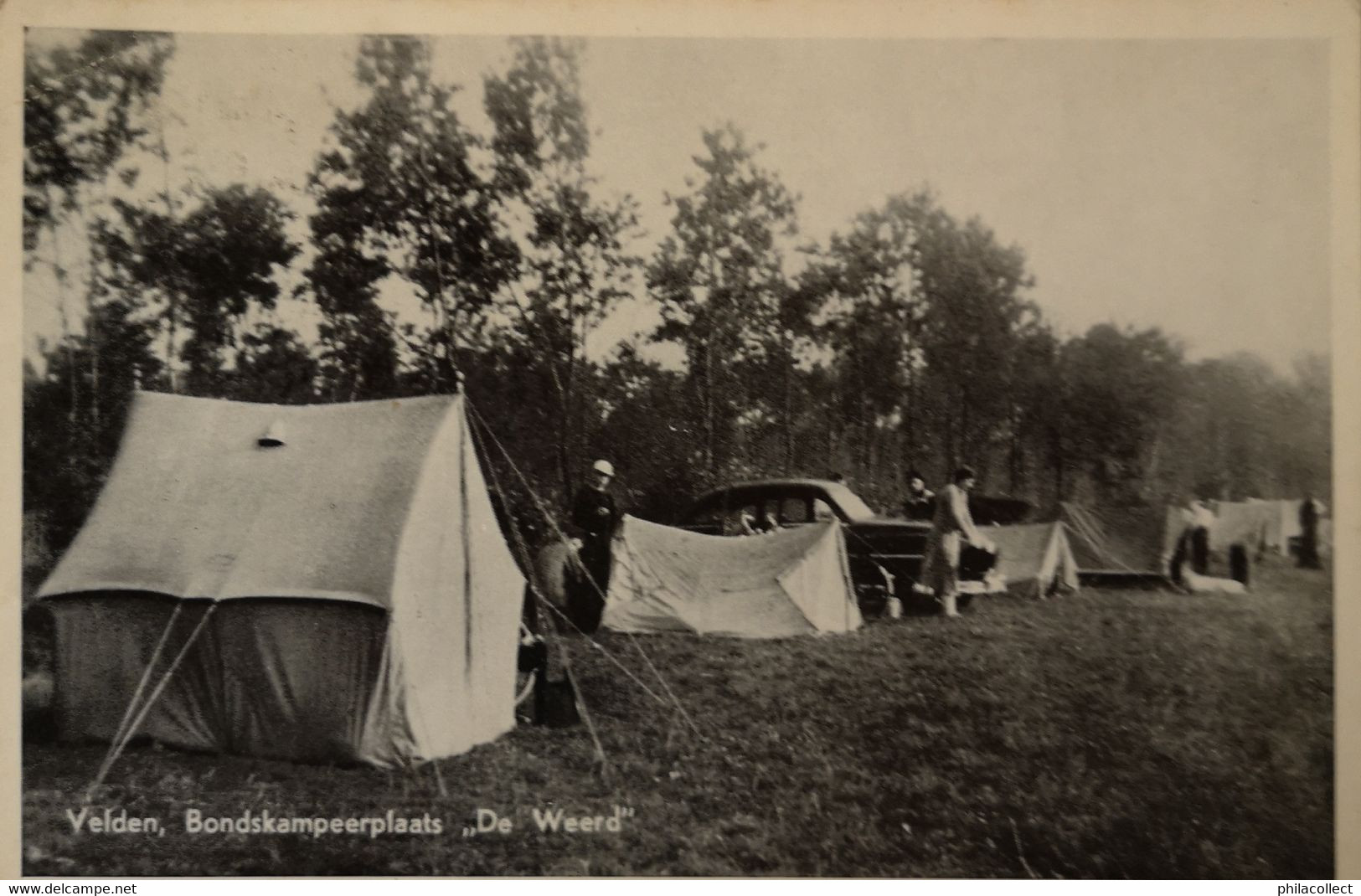 Velden (Venlo) Bondskampeerplaats De Weerd 1950 - Venlo