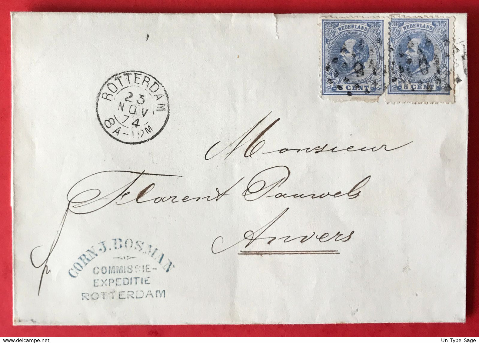 Pays-Bas N°19 (x2) Sur Lettre De Rotterdam 1874 Pour Anvers, Belgique - (C002) - Lettres & Documents