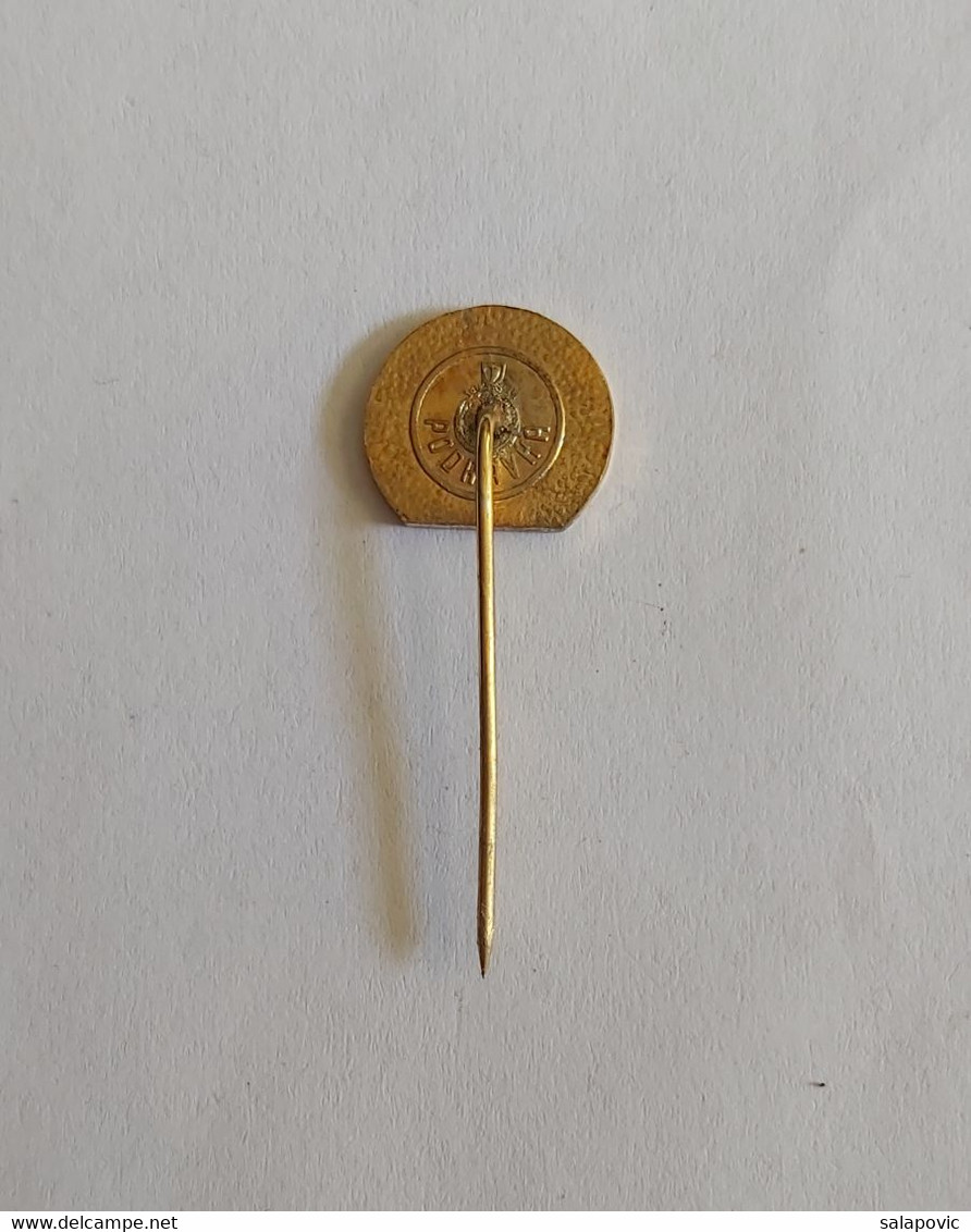 Zagreb 1786 - 1886 Croatia Archery Zagreb Shooting Association PIN A6/2 - Tiro Con L'Arco