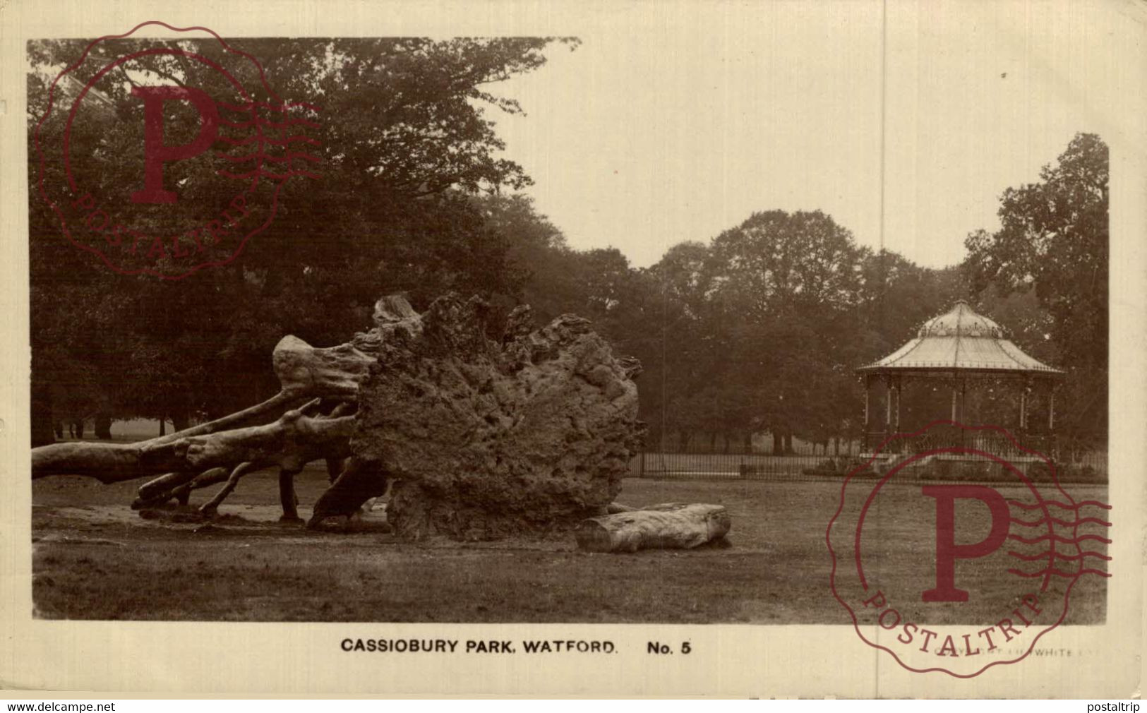 RPPC  CASSIOBURY PARK WATERFORD IRELAND - Waterford