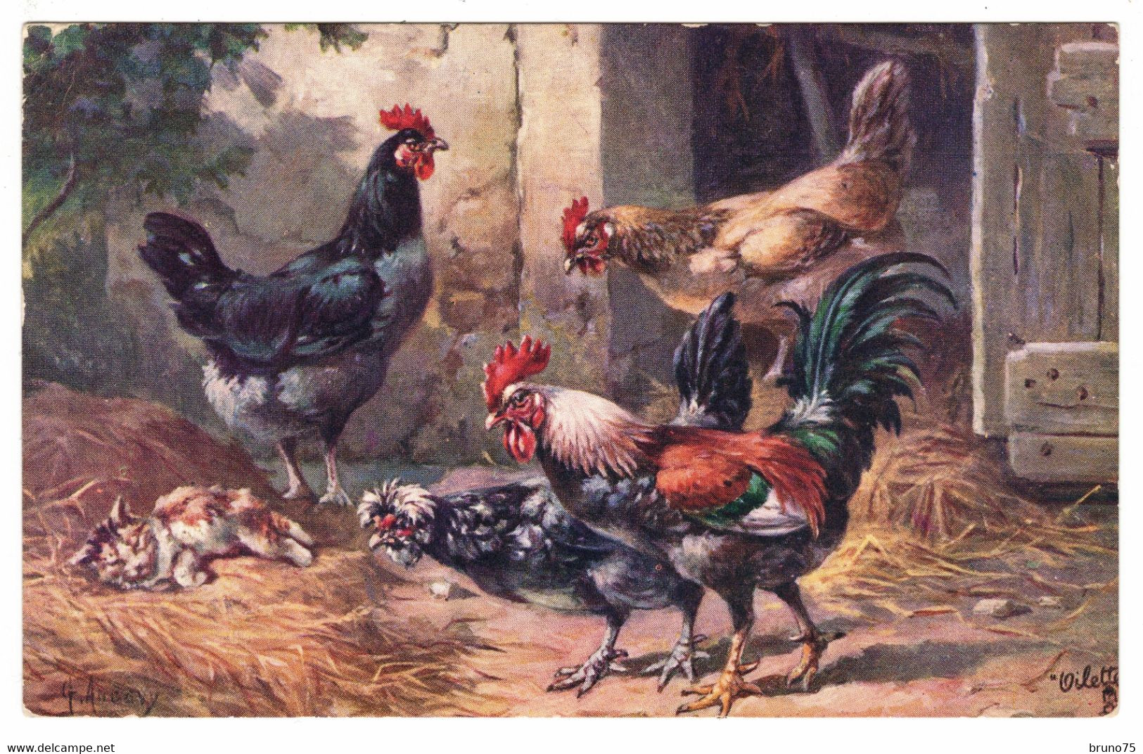 Coq, Poules Et Chat - TUCK The Poultry Yard 9464 - Tuck, Raphael