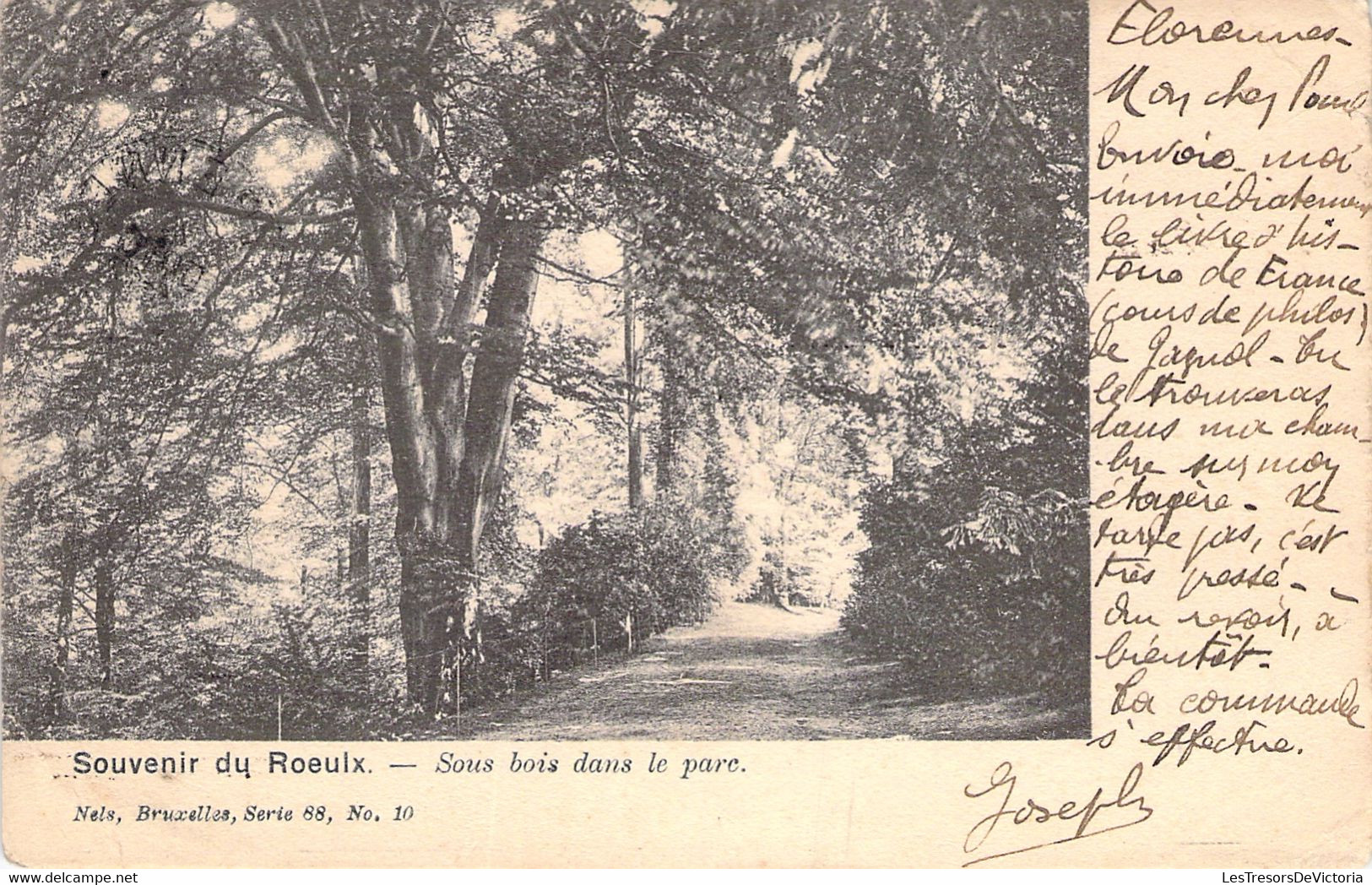 CPA Le Roeulx - Souvenir Du Roeulx - Sous Bois Dans Le Parc - Le Roeulx