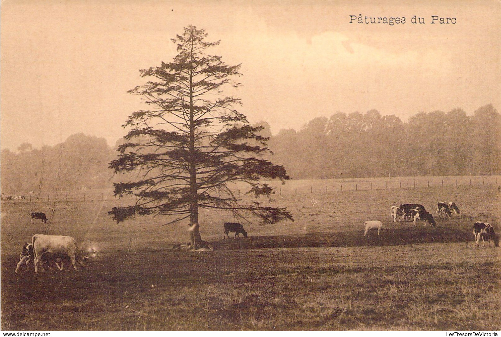 CP Le Roeulx - Paturages Du Parc - Chateau Des Viviers - Le Roeulx