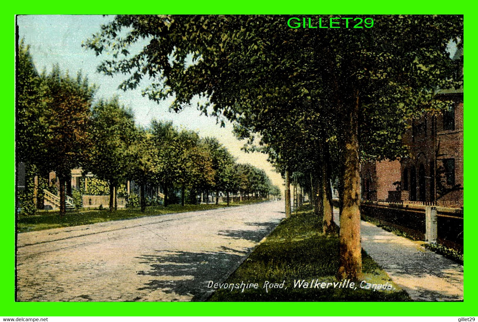 WALKERVILLE, ONTARIO - DEVONSHIRE ROAD - TRAVEL IN 1909 -  PUB. BY STEDMAN BROS - - Windsor