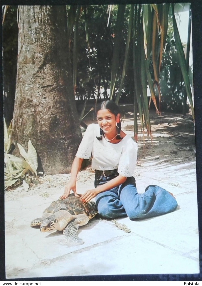 ► TORTUE De GUADELOUPE. (A Good Turtle-meal In View) - Schildkröten