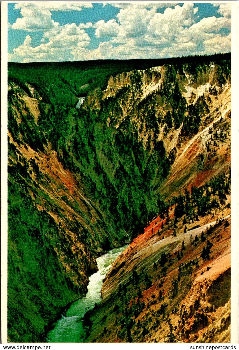 Yellowstone National Park Grand Canyon Of The Yellowstone - USA National Parks