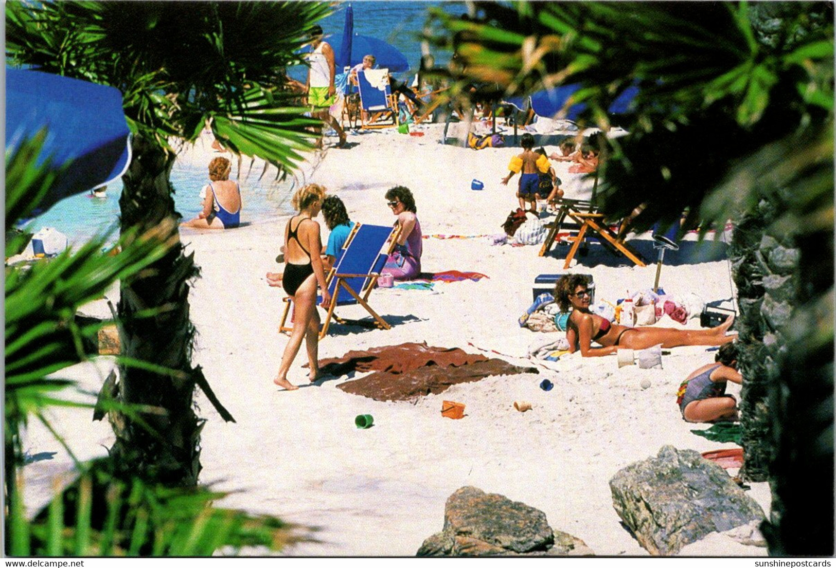 Texas Galveston Island Palm Beach At Moody Gardens Sunbathers - Galveston