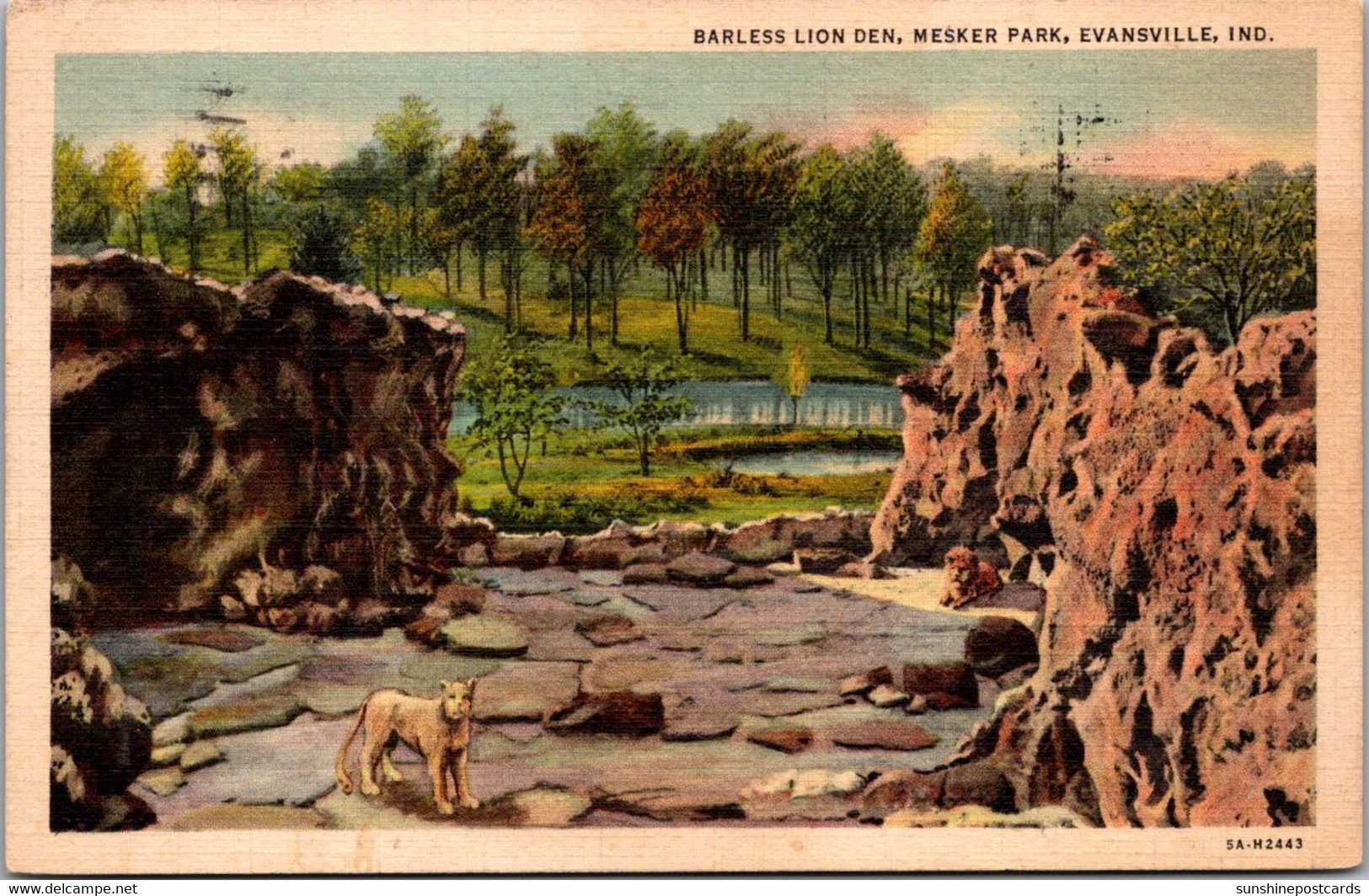 Indiana Evansville Mesker Park Barless Lion Den 1938 Curteich - Evansville
