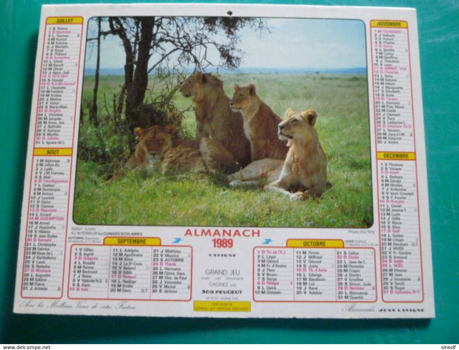 Calendrier 1989 Lavigne  Eléphant Lions Safari Almanach Facteur PTT POSTE Département Sarthe - Grand Format : 1991-00