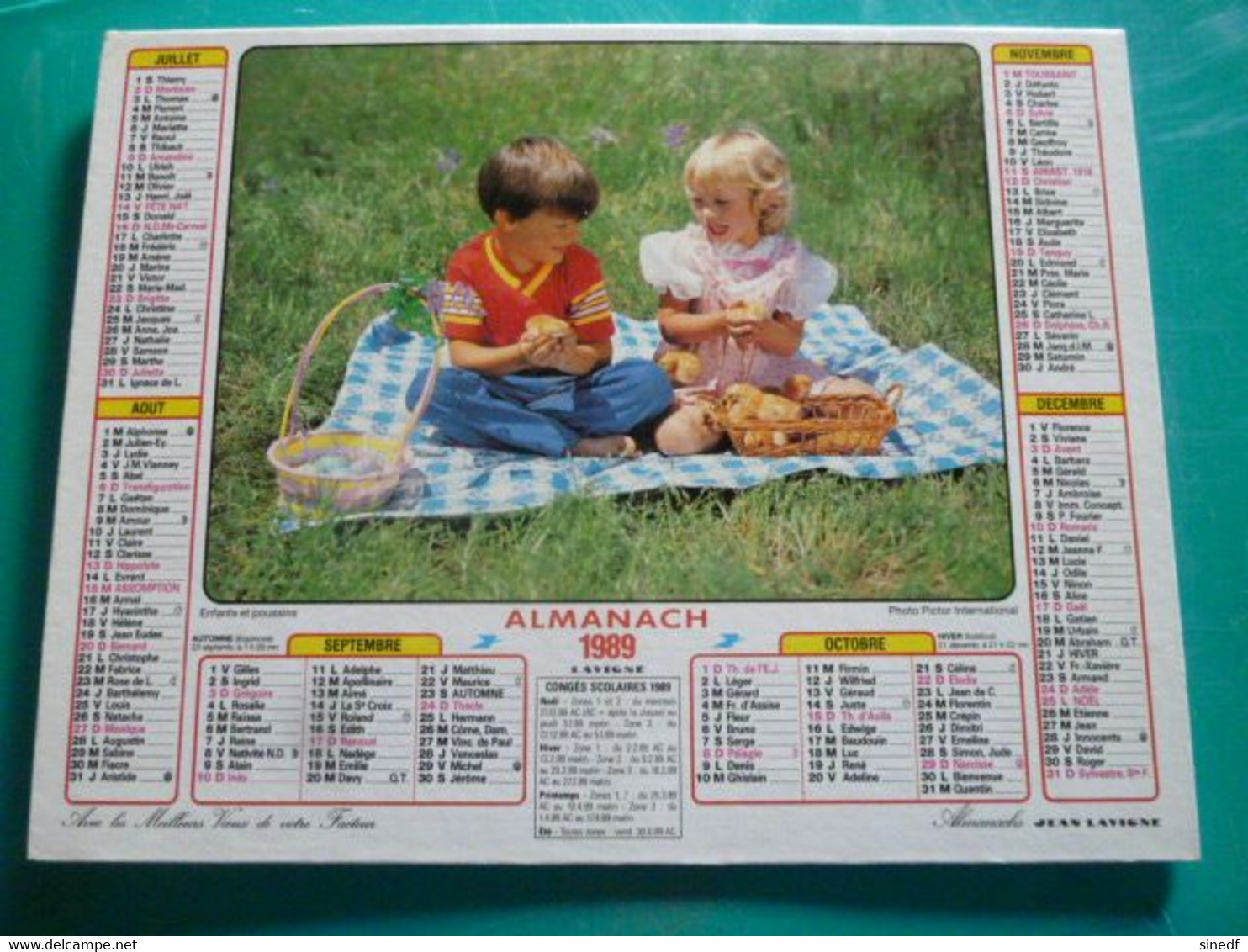 Calendrier 1989 Lavigne  Fillette Chèvre Enfants Poussins  Fille Almanach Facteur PTT POSTE Département Sarthe - Grand Format : 1991-00