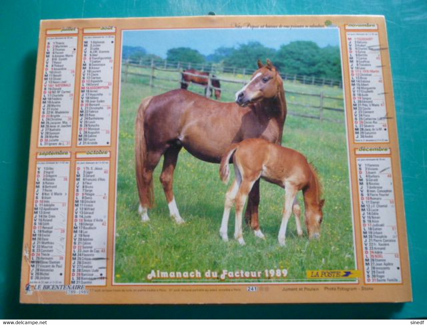 Calendrier 1989 Oller Chevaux Jument Poulain Chien Berger Allemand  Almanach Facteur PTT POSTE Département Sarthe - Grand Format : 1991-00