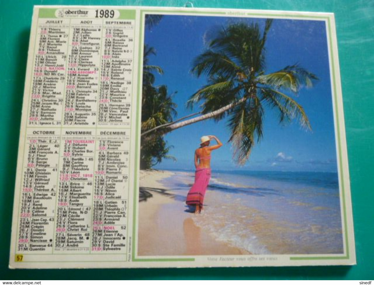 Calendrier 1989 Oberthur Ile Guadeloupe  Paysage Exotique Palmier Almanach Facteur PTT POSTE Département Sarthe - Grand Format : 1991-00