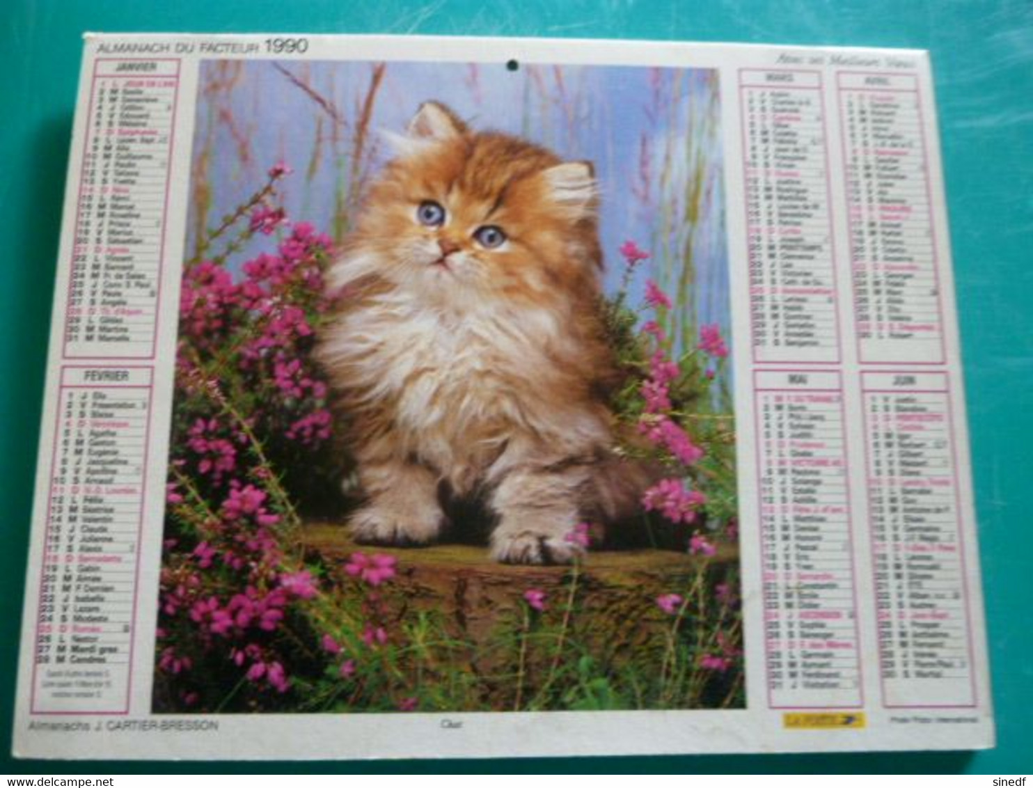 Calendrier 1990  Cartier Bresson Chaton Chat Chien épagneul Breton  Almanach Facteur PTT POSTE Département Sarthe - Grand Format : 1991-00