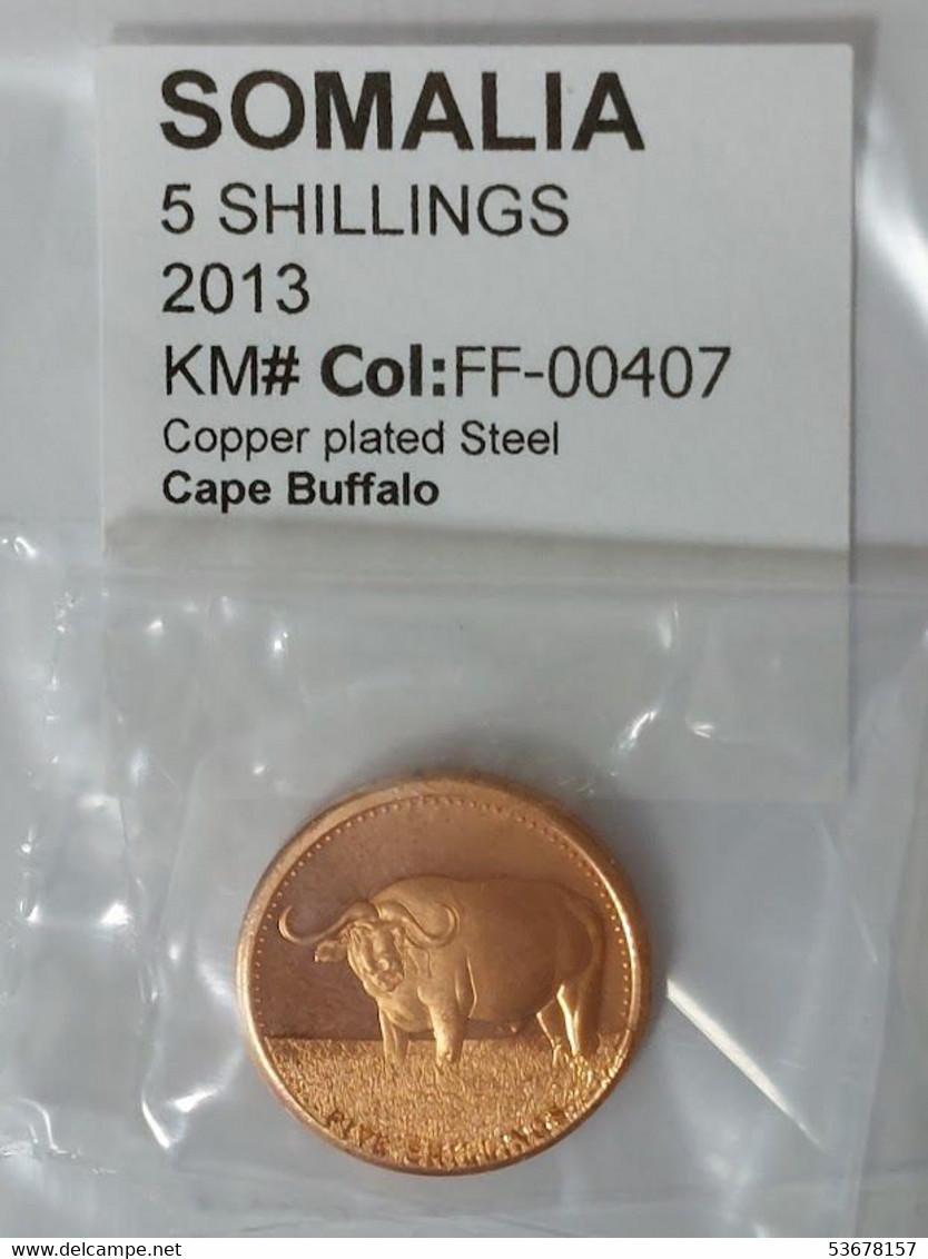 Somalia - 5 Shillings, 2013, Unc - Somalia