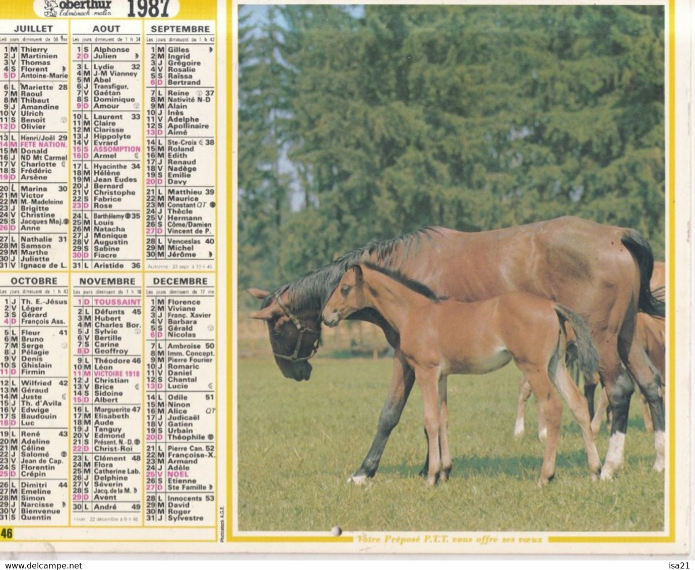 ALMANACH DU FACTEUR: Calendrier Des Postes 1987, SOMME, Berger Allemand, Jument Et Son Poulain - Grand Format : 1981-90