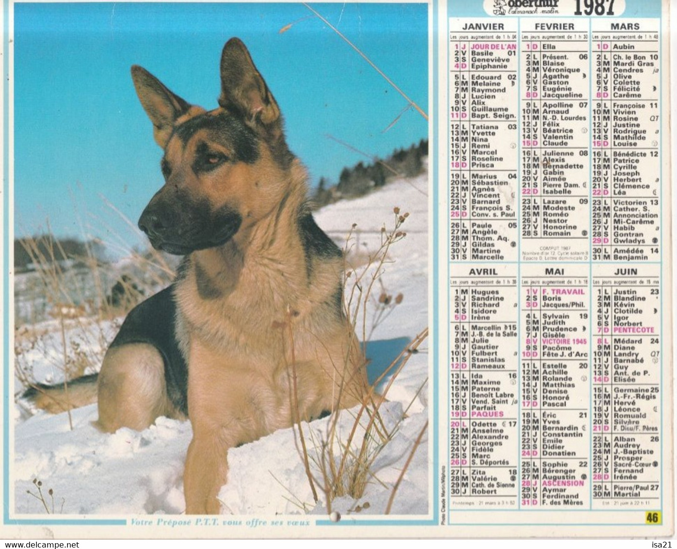 ALMANACH DU FACTEUR: Calendrier Des Postes 1987, SOMME, Berger Allemand, Jument Et Son Poulain - Grand Format : 1981-90