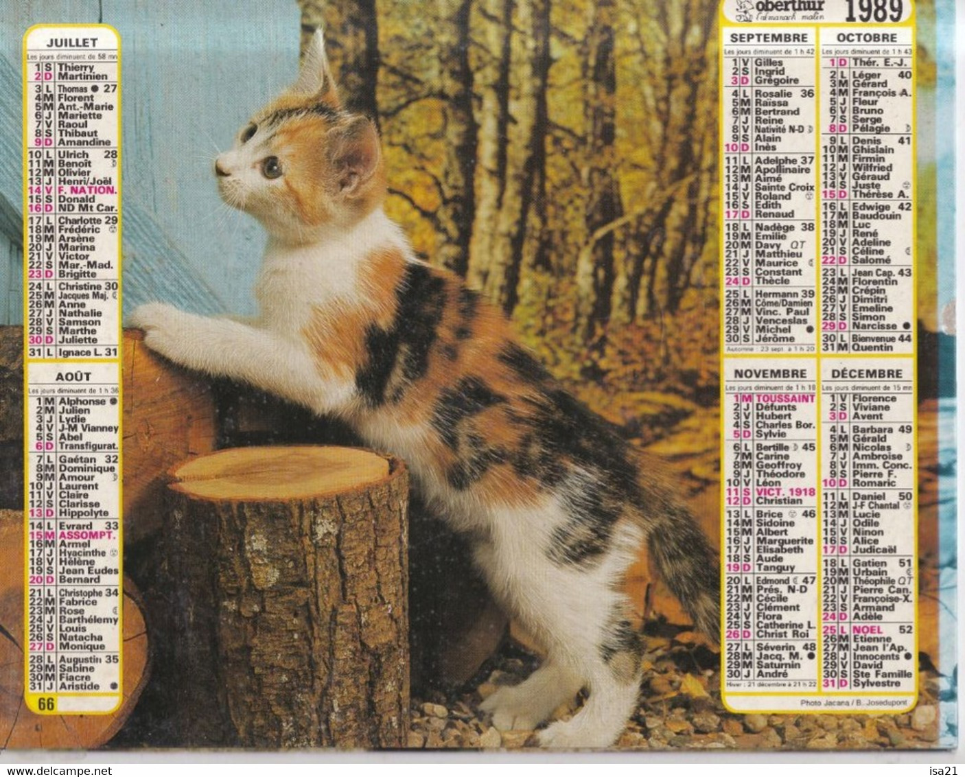 ALMANACH DU FACTEUR: Calendrier Des Postes 1989, Chiots, Chaton - Big : 1981-90