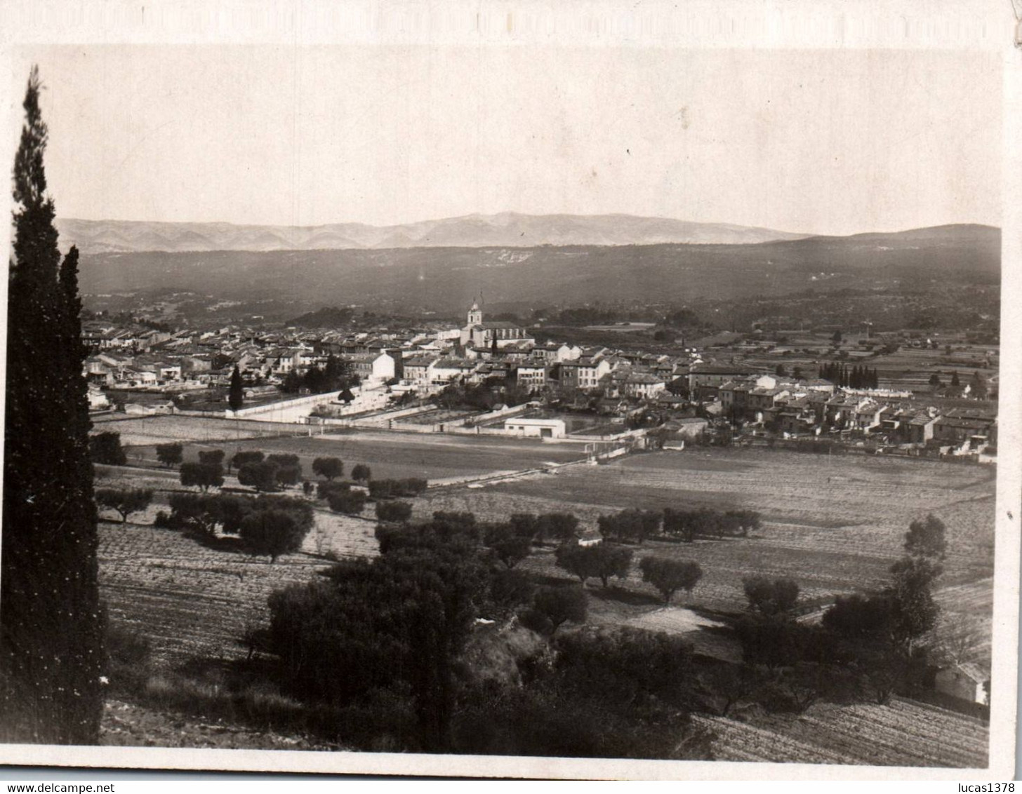 83 / LE BEAUSSET / VUE GENERALE / TARDY - Le Beausset