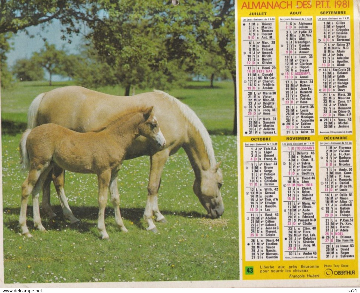 ALMANACH DU FACTEUR: Calendrier Des Postes 1984: SOMME, Cheval Et Chien, Jument Et Poulain - Grand Format : 1981-90