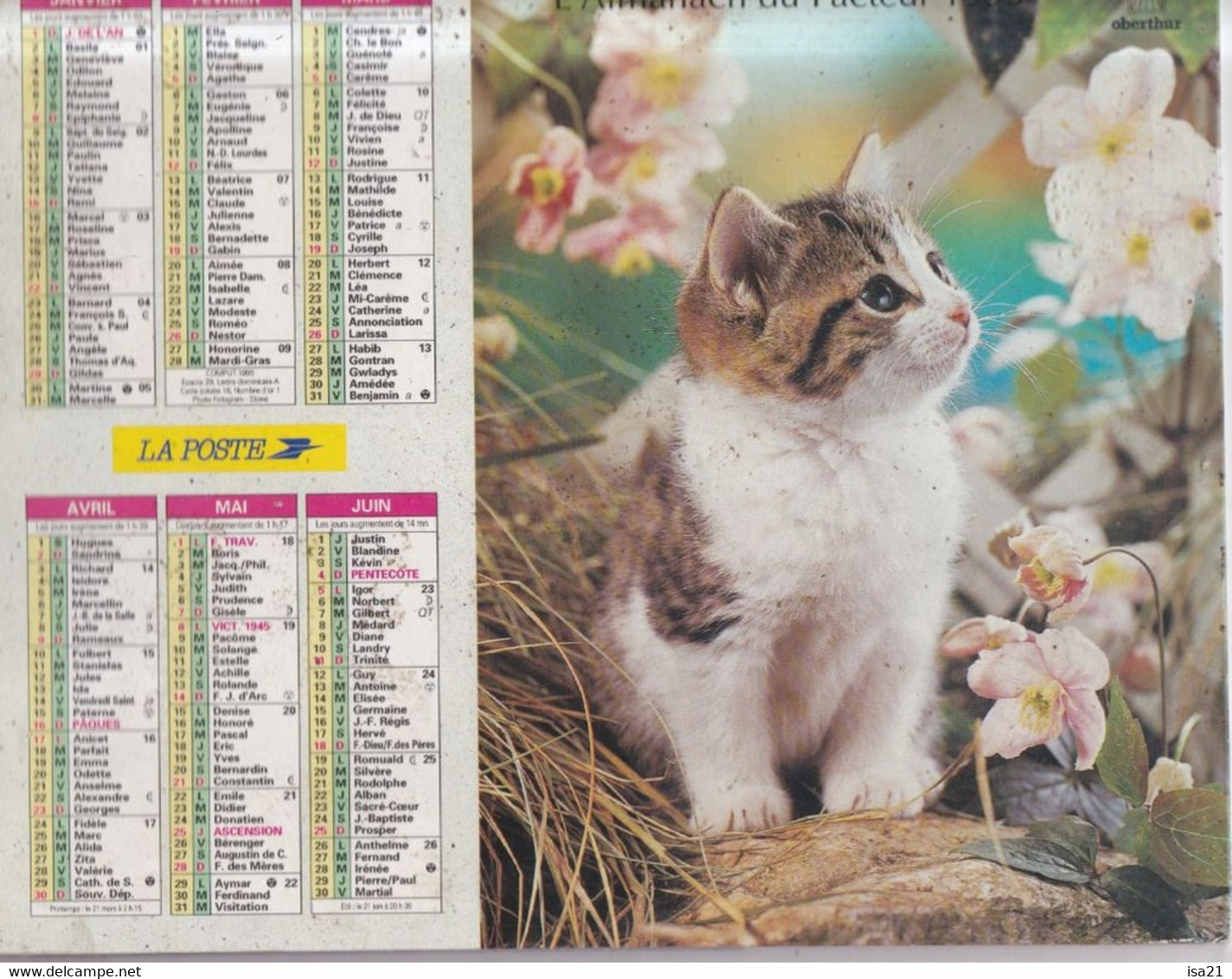 ALMANACH DU FACTEUR: Calendrier Des Postes 1995: SOMME, Chatons, Chats, Fleurs - Grand Format : 1991-00