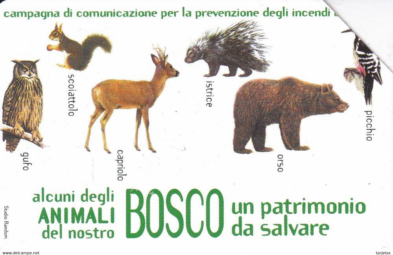 TARJETA DE UN BUHO, OSO, CIERVO, ARDILLA, PAJARO CARPINTERO (OWL-CHOUETTE-BIRD, BEAR) - Gufi E Civette