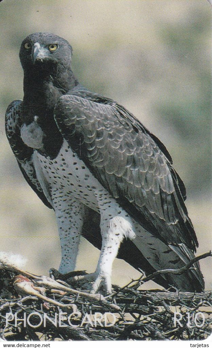 TARJETA DE SUDAFRICA DE UN AGUILA  (EAGLE-BIRD-PAJARO) - Adler & Greifvögel