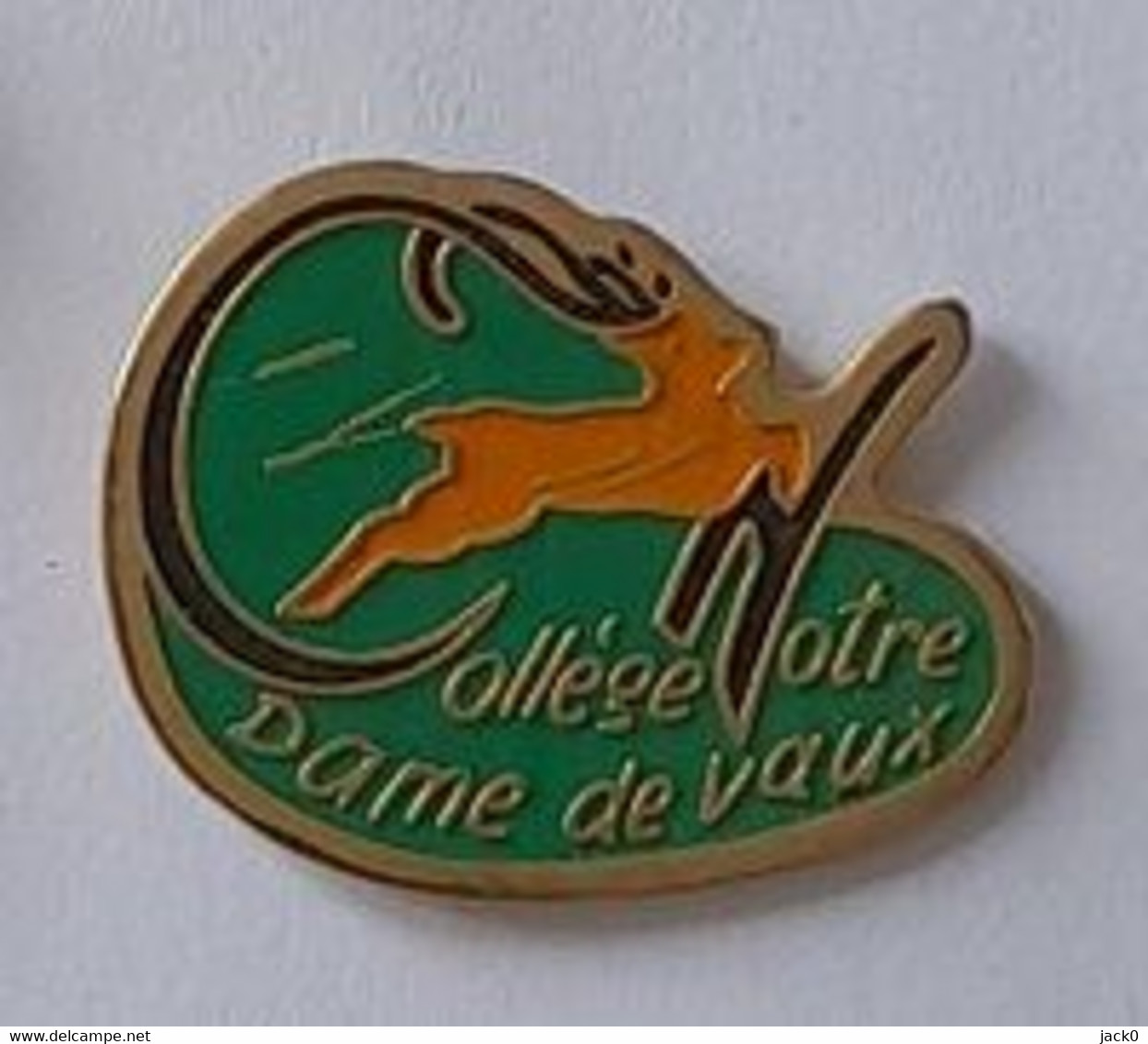 Pin' S  Ville, Education, ECOLE, Collège  Notre  Dame  De  Vaux  Avec Un Animal  Chevreuil ?  ( 38 ) - Administrations