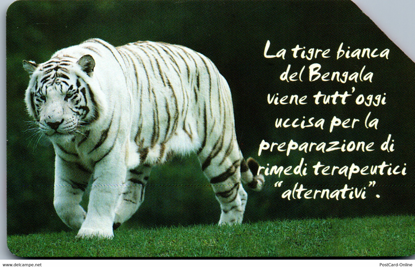 32630 - Italien - Tiger - Öff. Diverse TK