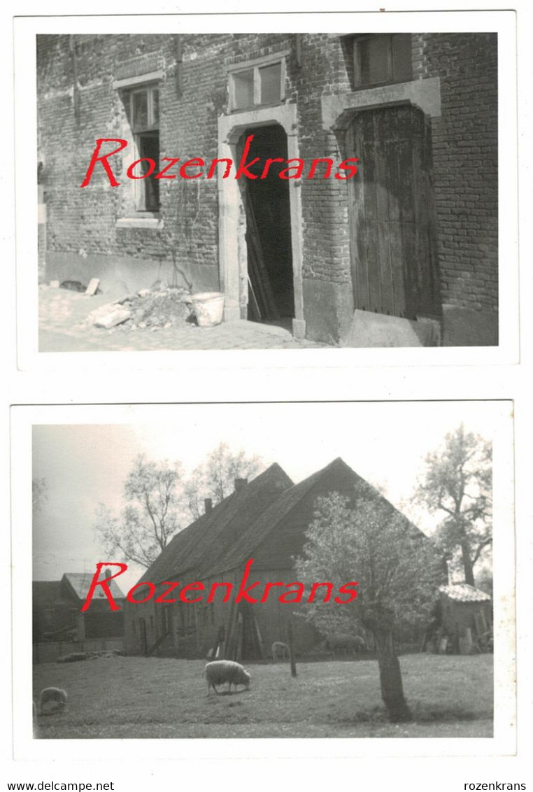 Lotje Van 2 X Unieke Oude Foto Foto's Lint Oudste Hoeve Schranshoeve Periode: 1965-1975 - Niel