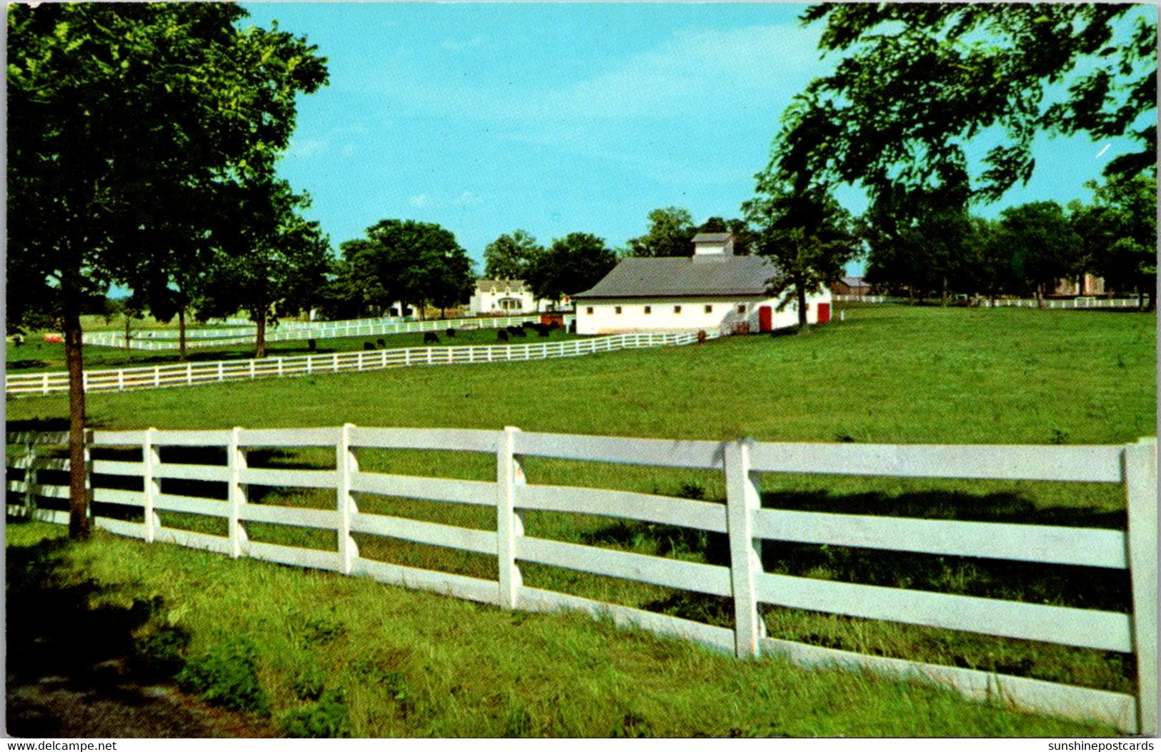 Kentucky Lexington Picturesque Horse Farm - Lexington