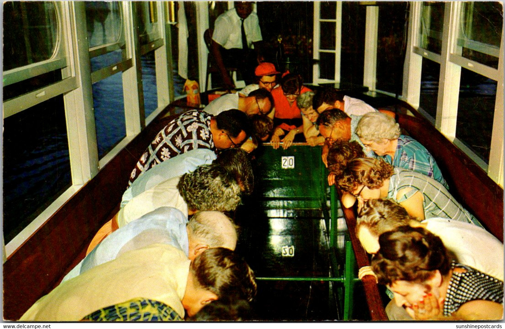 Florida Silver Springs Seeing Underwater Scenery Through Glass Bottom Boat 1957 - Silver Springs