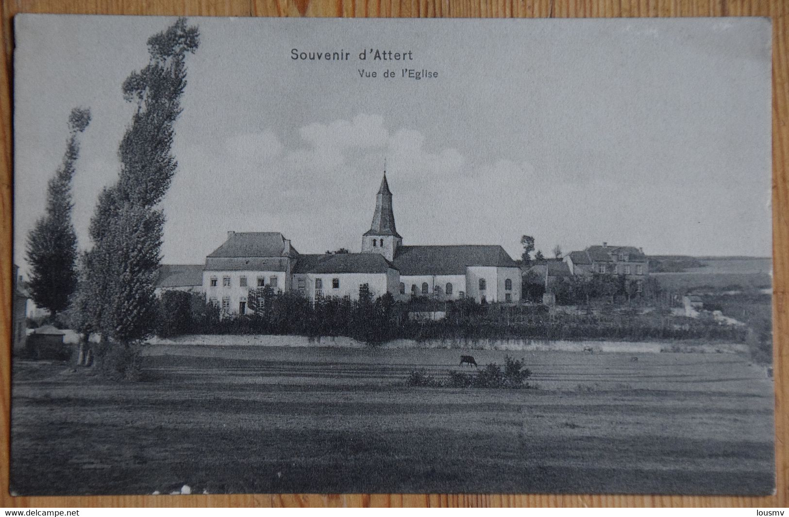 Souvenir D'Attert - Vue De L'Eglise - Plan Inhabituel - (n° 22570) - Attert