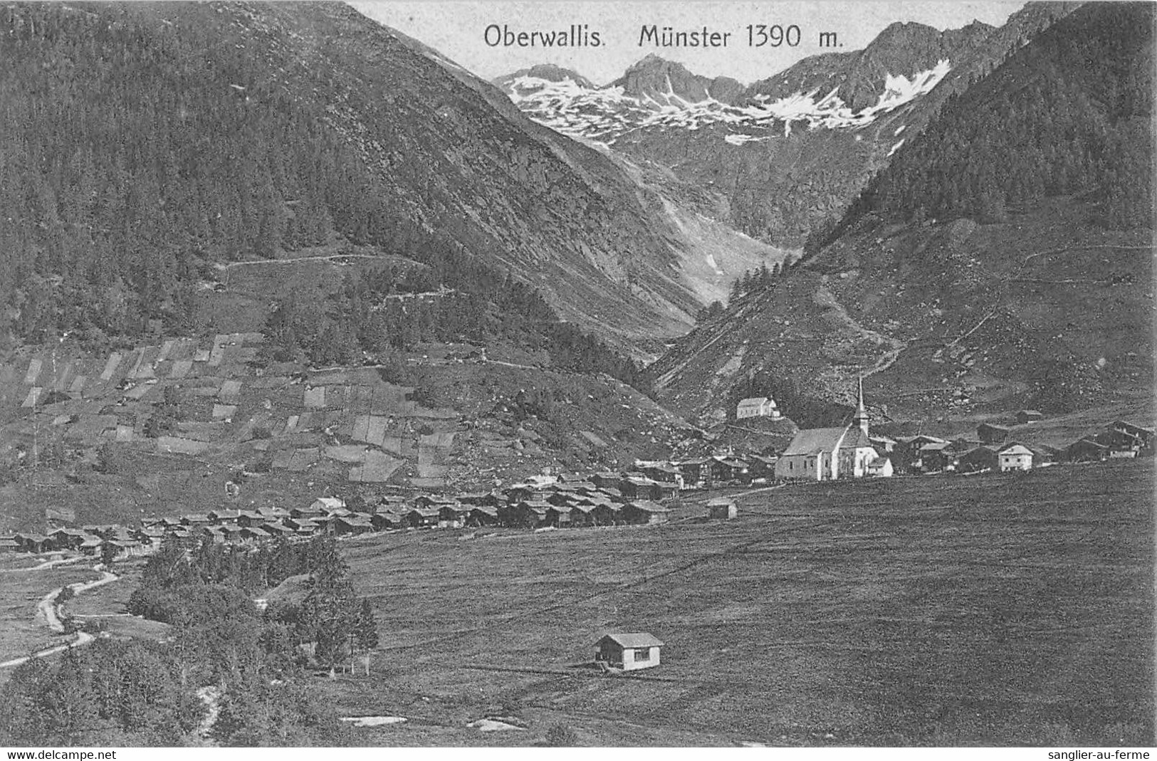 CPA SUISSE OBERWALLIS MUNSTER - Autres & Non Classés