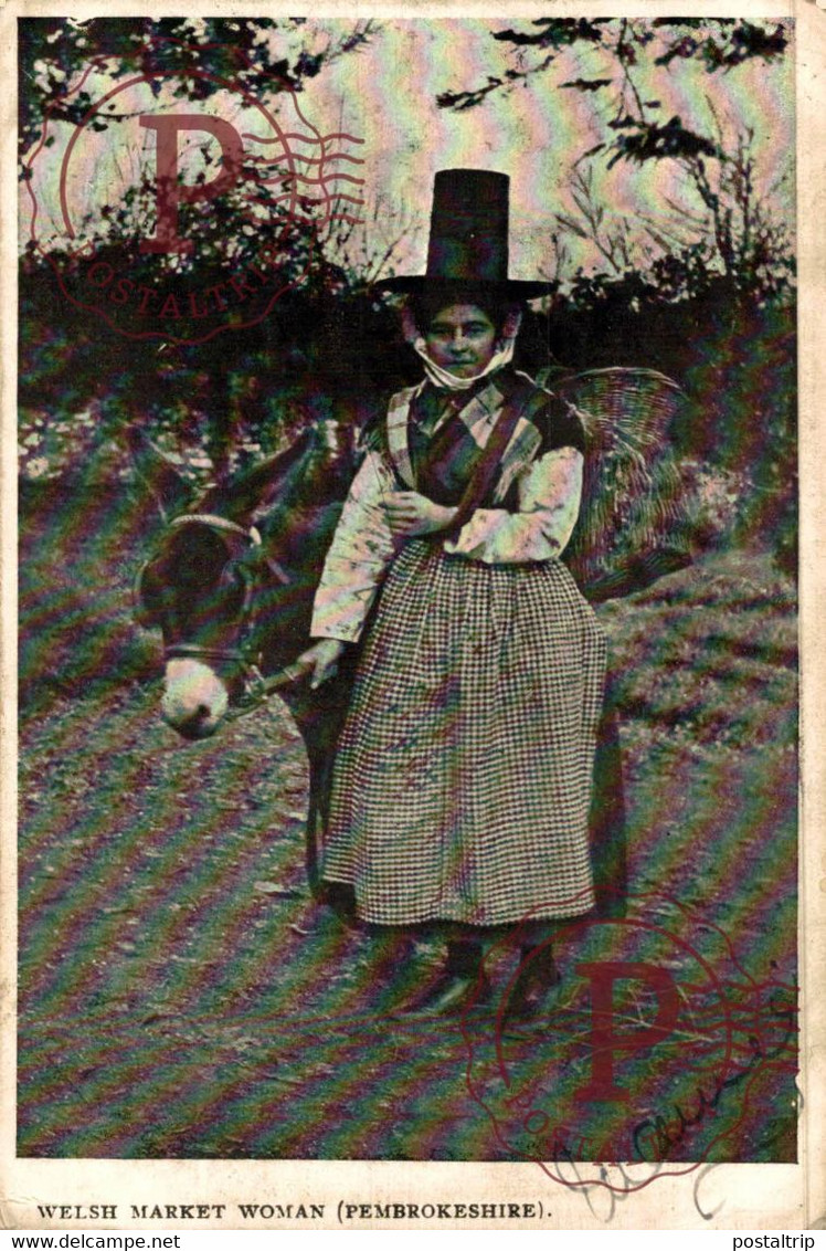 WALES PAYS DE GALLE Très Rare Welsh Market Woman PEMBROKESHIRE    BURROS   ANE DONKEY EZEL - Pembrokeshire