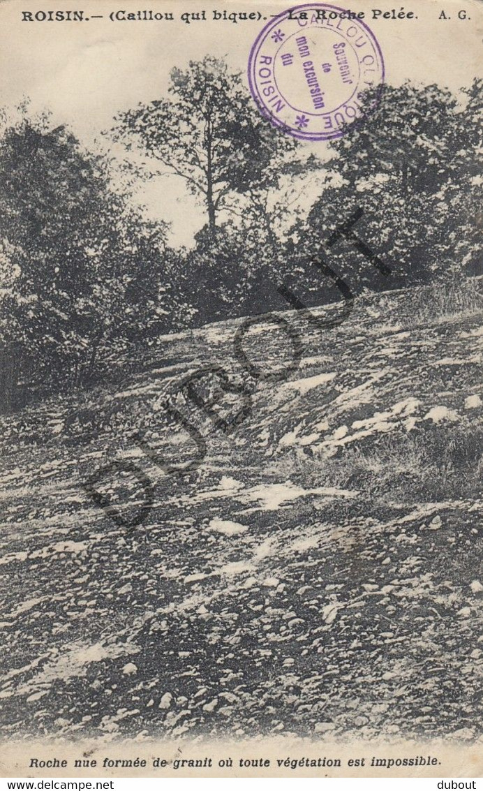 Postkaart-Carte Postale - ROISIN - La Roche Pelée (C2345) - Honnelles