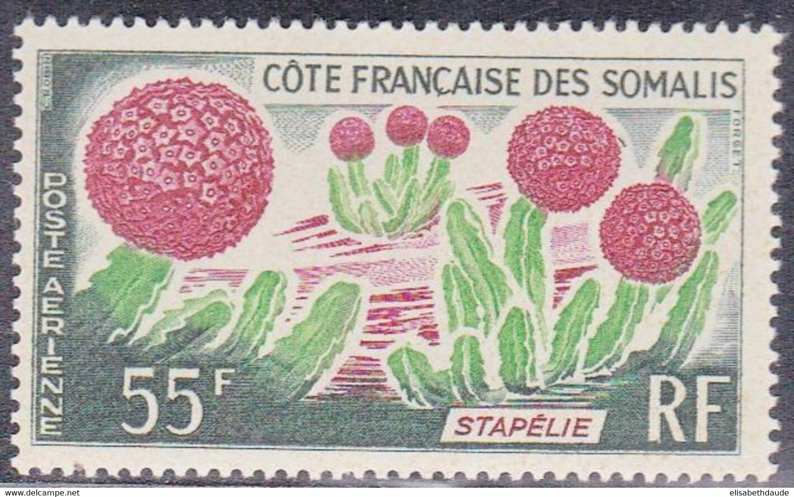 COTE DES SOMALIS - 1966 - POSTE AERIENNE - YVERT N° 47 ** - COTE = 7 EUR. - CACTUS - Neufs