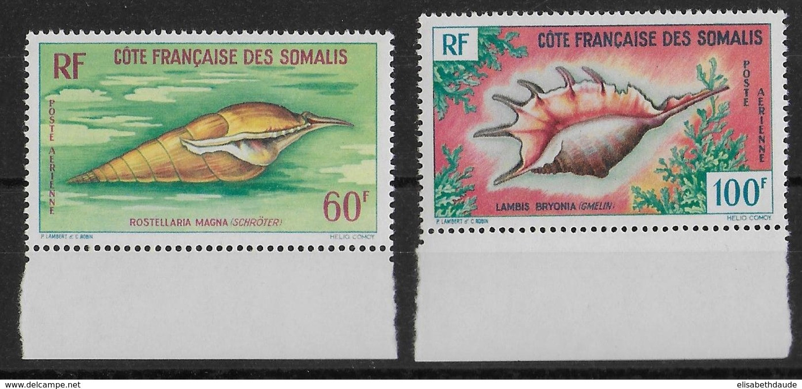 COTE DES SOMALIS - 1962 - POSTE AERIENNE YVERT N°31/32 ** MNH - COTE = 23 EUR. - COQUILLAGES - Ungebraucht