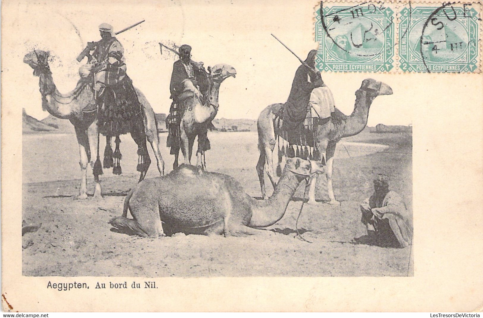 CPA Aegypten - Au Bord Du Nil -  De Suez à Maubeuge En 1902 - Chameaux - Sues