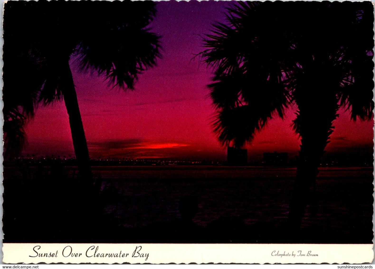 Florida Clearwater Sunset Over Clearwater Bay - Clearwater