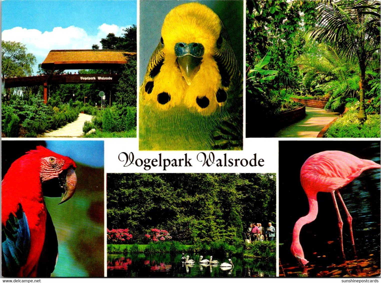 Germany Walsrode Vogelpark Bird Park Multi View Flamingo Parrot & More - Walsrode