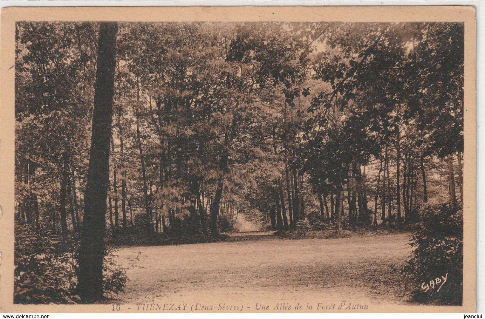 16. THENEZAY . UNE ALLEE DE LA FORET D'AUTUN . CARTE NON ECRITE - Thenezay