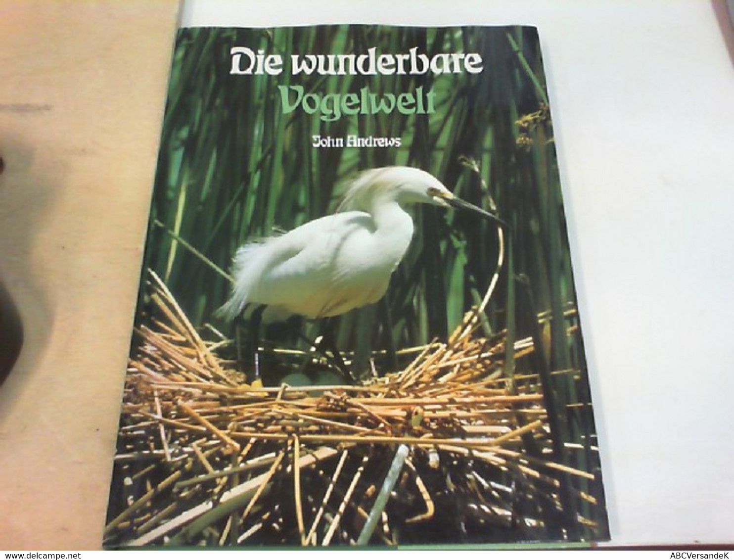 Die Wunder Der Vogelwelt - Animales