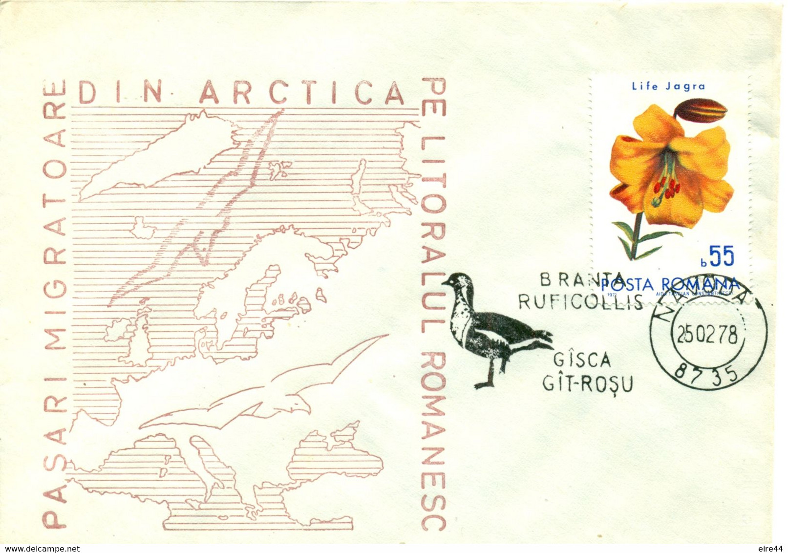 Romania 1978 Cover Arctic Migratory Bird Red-breasted Goose Limited Edition 160/400 - Marcofilie